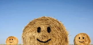 dożynki - święto Plonów